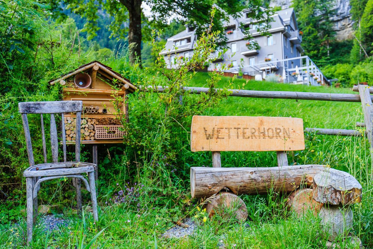 Hotel Wetterhorn ハスリベルク エクステリア 写真